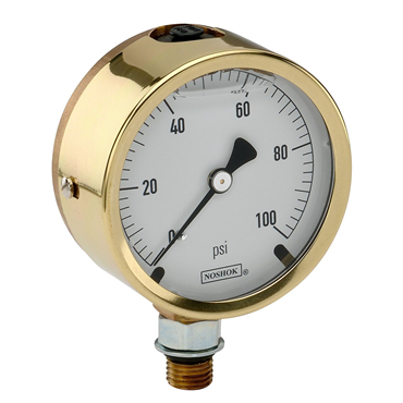 NOSHOK Inc25-300-SST-60-PSI